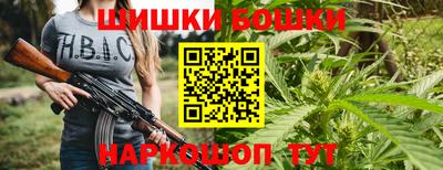 хмурый Камышлов